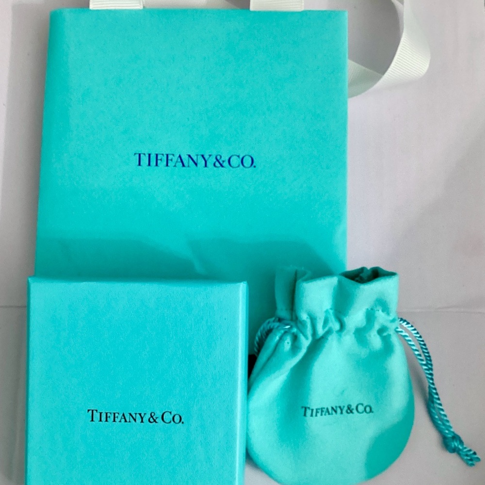 Tiffany & Co. Turquoise Gift Box with White Ribbon